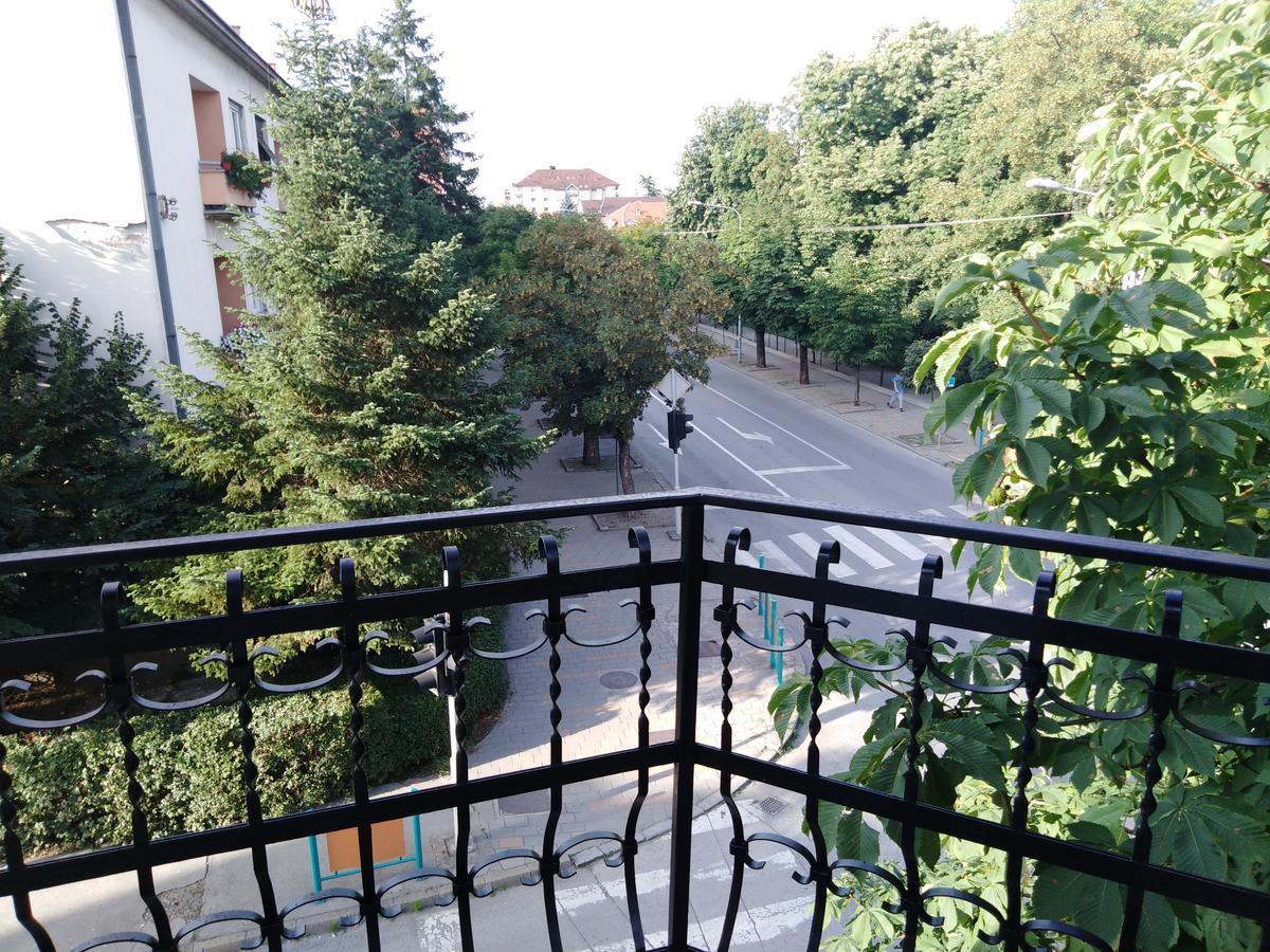 Villa Veliki Park à Šabac Extérieur photo