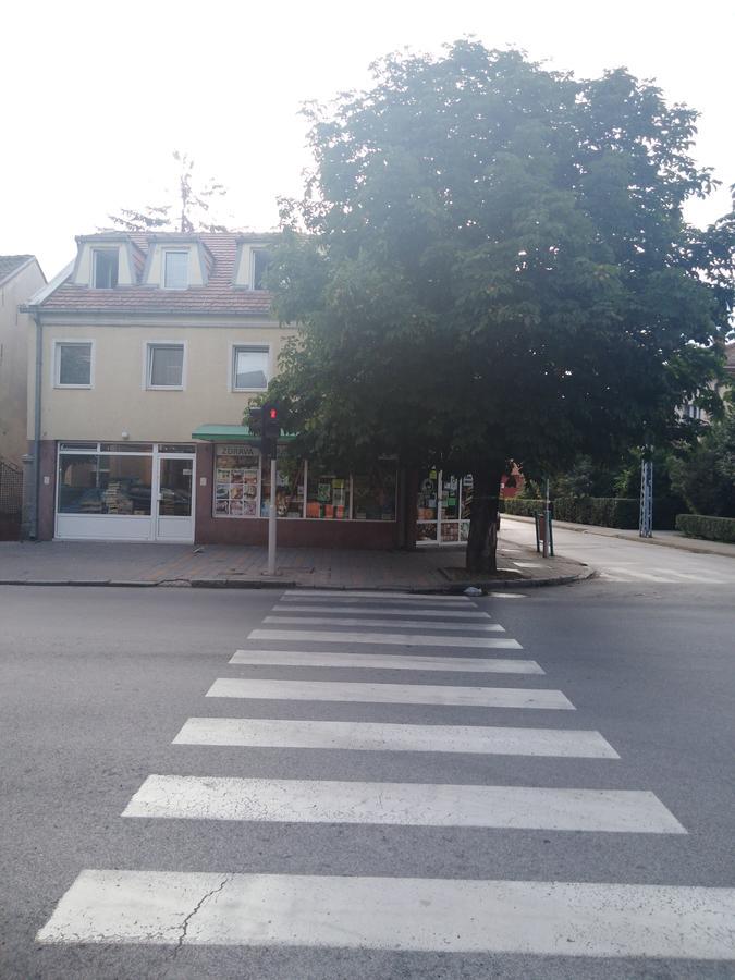 Villa Veliki Park à Šabac Extérieur photo