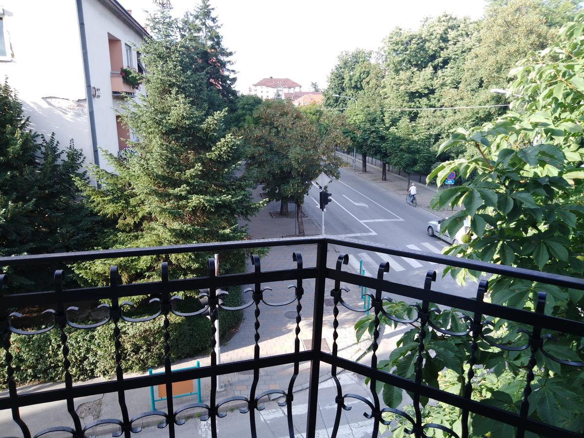 Villa Veliki Park à Šabac Extérieur photo