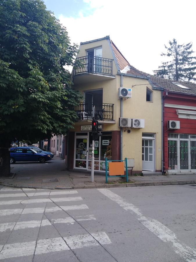 Villa Veliki Park à Šabac Extérieur photo